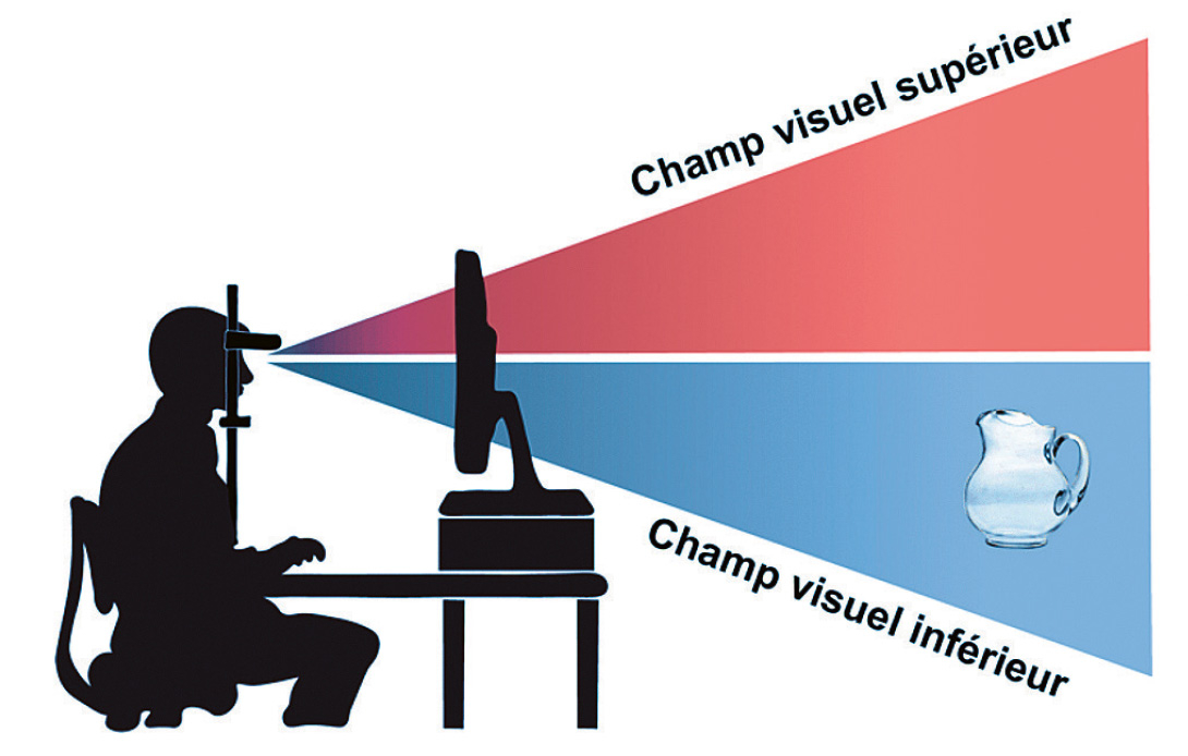 champ-visuel.